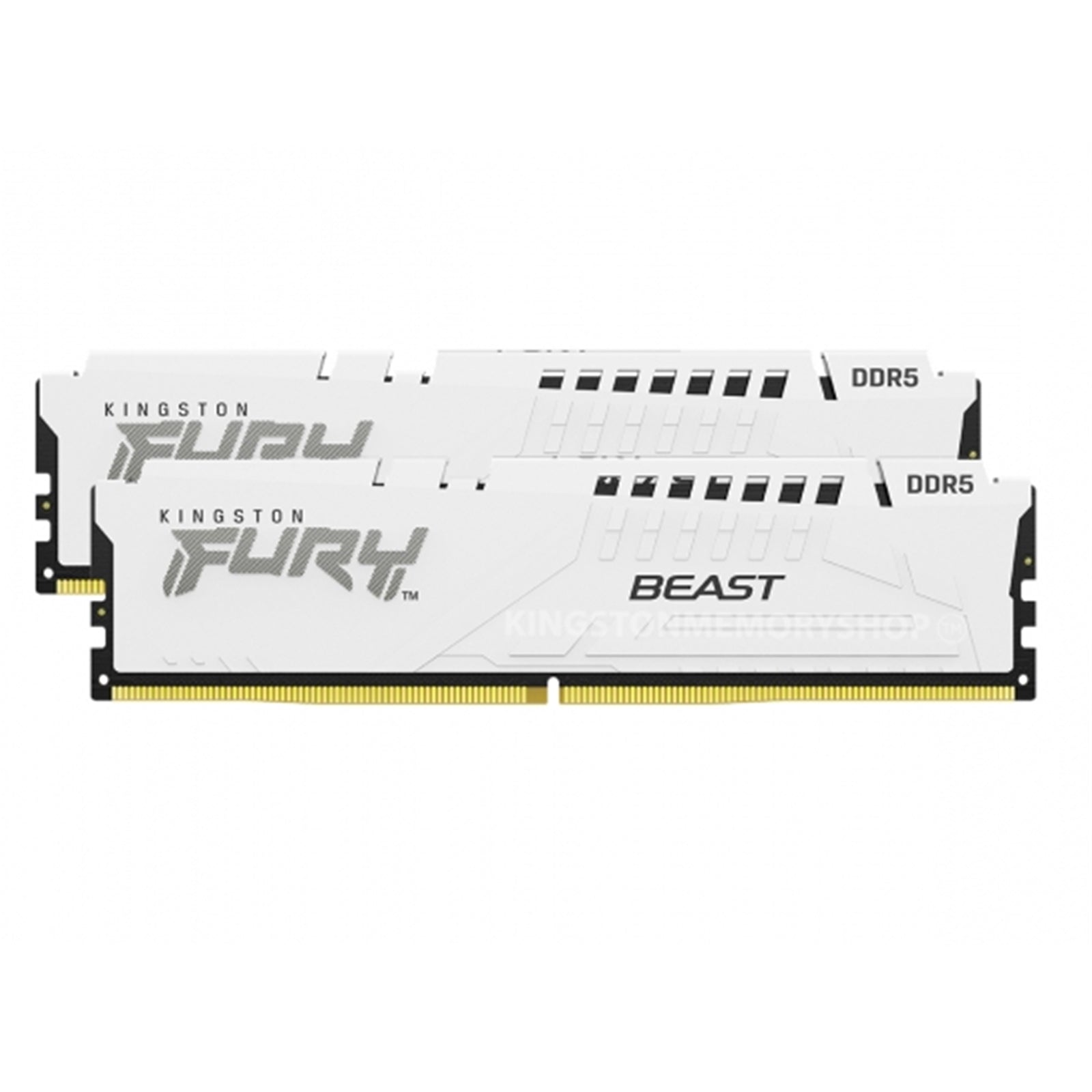 Kingston FURY Beast RAM Module, 32 GB (2 x 16GB), DDR5, 5600 MHz, On-die ECC, Unbuffered, 288-pin, DIMM
